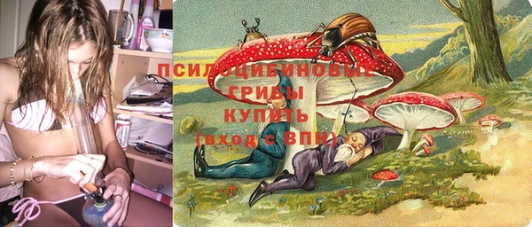 трава Кулебаки
