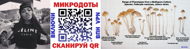 купить наркотики цена Тотьма Галлюциногенные грибы MAGIC MUSHROOMS